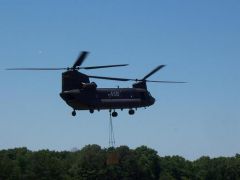 Chinook1.JPG